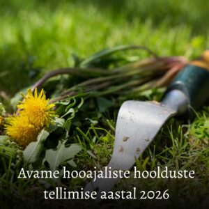 Urniplatsi või 1- kohalise hauaplatsi hooajaline hooldus