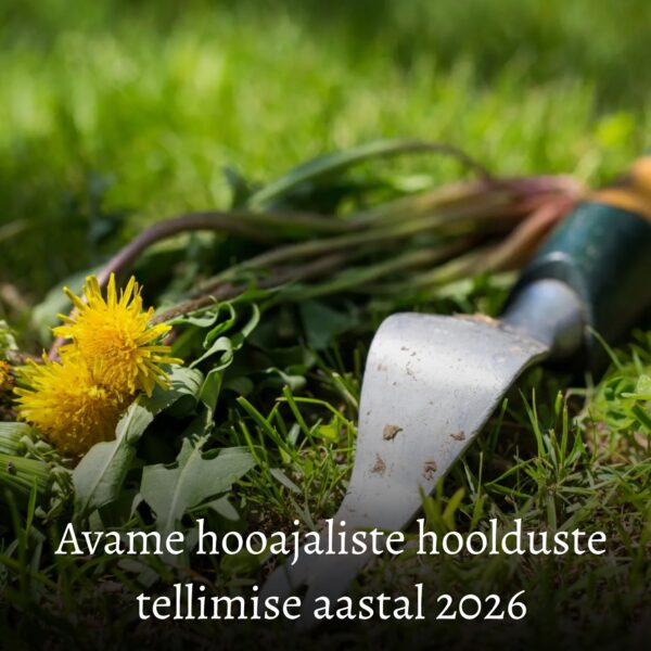 Urniplatsi või 1- kohalise hauaplatsi hooajaline hooldus