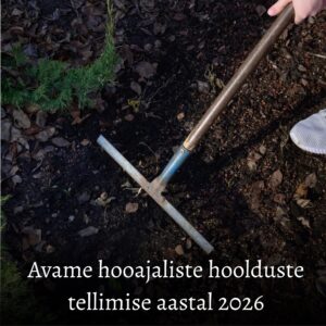 2- kohalise hauaplatsi hooajaline hooldus