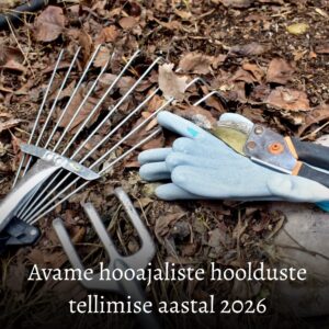 3- kohalise hauaplatsi hooajaline hooldus