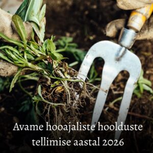 5- kohalise hauaplatsi hooajaline hooldus