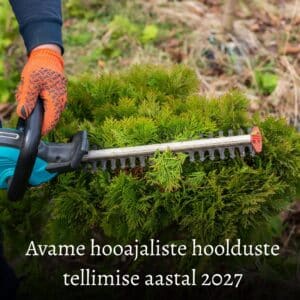 3- kohalise hauaplatsi hooajaline hooldus (7 korda)