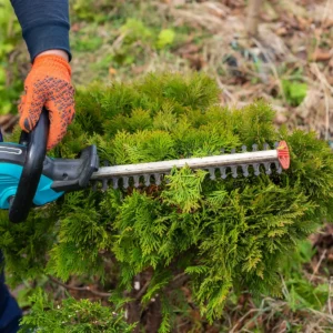 3- kohalise hauaplatsi hooajaline hooldus