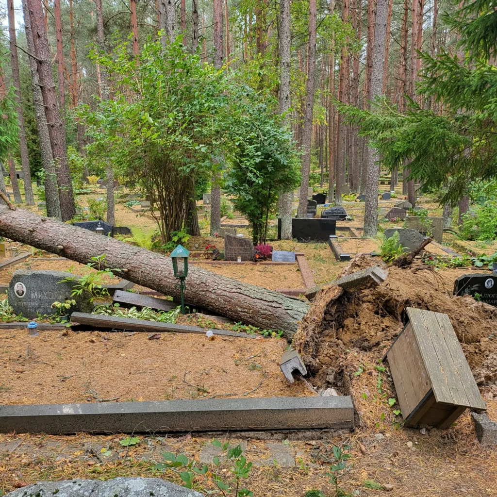 Tormi käest räsida saanud hauaplats.
